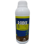 رادیکس      Radix